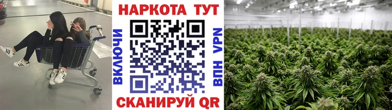 Где купить наркоту Вельск Alpha-PVP Меф МАРИХУАНА