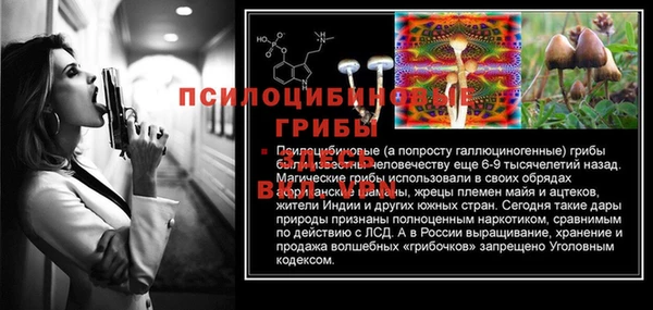 сатива Балабаново