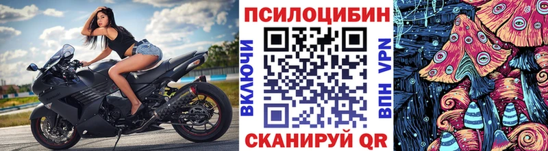 площадка состав  Вельск  Псилоцибиновые грибы Cubensis  где продают наркотики 